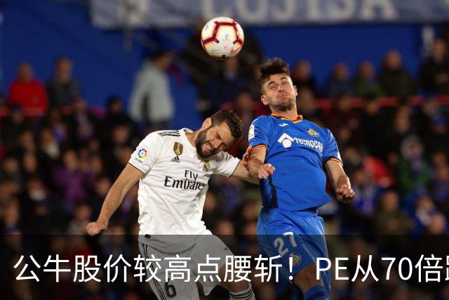 公牛股价较高点腰斩！PE从70倍跌到17倍，年赚40亿成现金牛