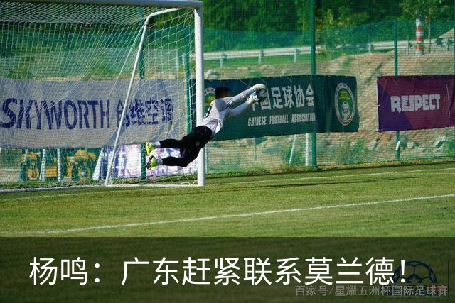 杨鸣：广东赶紧联系莫兰德！