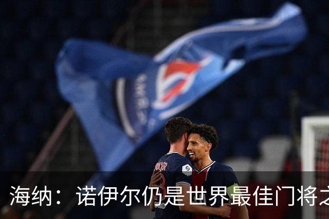 海纳：诺伊尔仍是世界最佳门将之一，失误和年龄无关